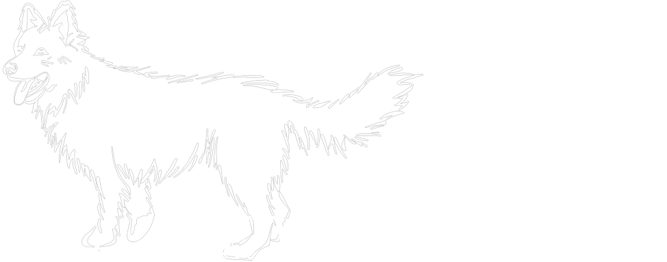 De Witte Parel - Logo